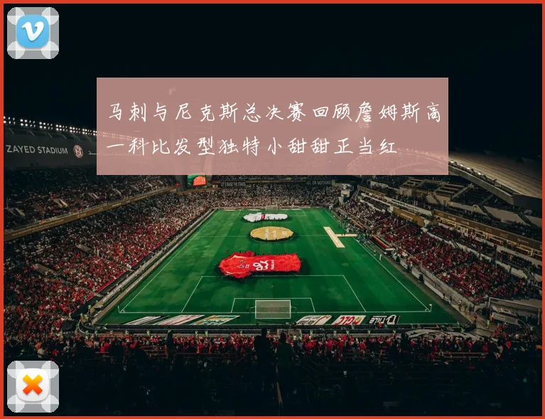 马刺与尼克斯总决赛回顾詹姆斯高一科比发型独特小甜甜正当红