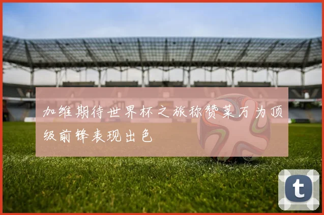 加维期待世界杯之旅称赞莱万为顶级前锋表现出色