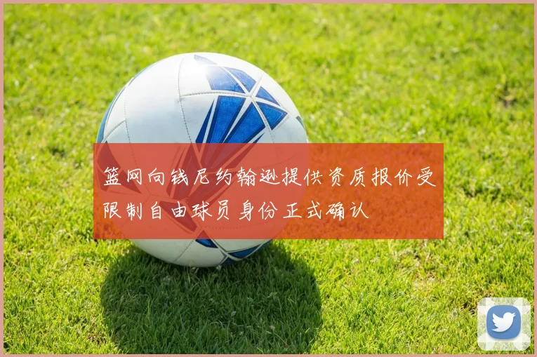 篮网向钱尼约翰逊提供资质报价受限制自由球员身份正式确认