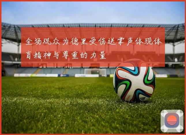 全场观众为德里受伤送掌声体现体育精神与尊重的力量